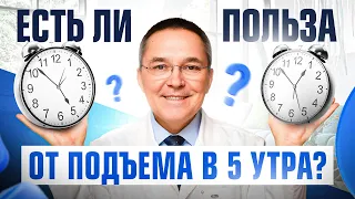 Кто рано встает тому Бог подает? Есть ли преимущества раннего пробуждения? Ответ неочевиден