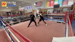 Carlo on the Mitts with Three Students | Various Levels | Old Dog Boxing Club