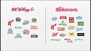 Kellogg Company Unveils Names for Future Companies