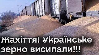 😡 У Польщі з вагонів висипали 160 тонн українського зерна!!!