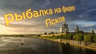 Рыбалка на фидер, река Великая Псков