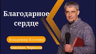 Благодарное сердце//Владимир Косенко(21.04.2024)