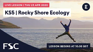 FIELDWORK LIVE - KS5 | Rocky Shore Ecology