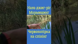 Риболовля в диких хащах! Наноджиг! Мормишинг! Ловля мирної риби спінінгом на силікон #shorts