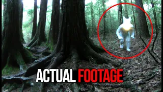 Most Disturbing Trail Cam Footage Ever Captured