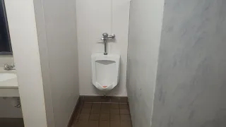 Newer Kohler Stanwell urinal.