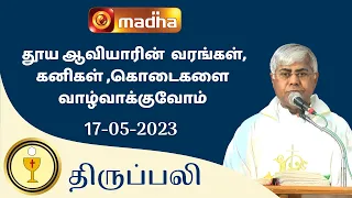 🔴 LIVE 17  MAY 2023 Holy Mass in Tamil 06:00 PM (Evening Mass) | Madha TV