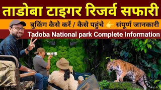 Tadoba | Tadoba Jungle Safari | Tadoba National park | How to book Tadoba Safari online