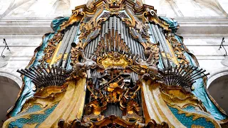 ENTREE in C - Paul Fey plays the Organ in SANTANYI (Spain) using the largest Mixture in the World