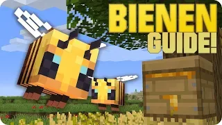 Bienen Guide | Züchten, Verhalten & Eigenschaften | Minecraft
