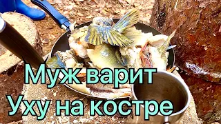 Муж  варит уху на костре. Уха из окуней и щуки❤️