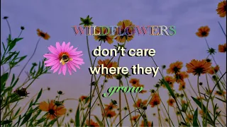 Mark and Maggie O'Connor - Wildflowers (Lyric Video)