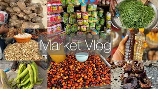 Nigerian Market Vlog: What 100k Got Me | Current Cost of Foodstuffs In Lagos, Nigeria | Dec 2023