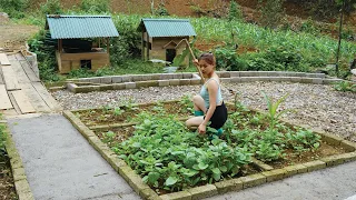 grow vegetables, repair farm p19, conduct electricity to the farm, live in the forest for 2 years