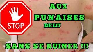 COMMENT TUER LES PUNAISES DE LIT SANS SE RUINER!!!