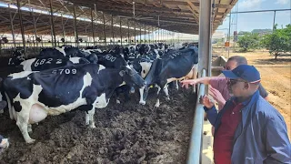 CS LINTURI VISITS A MASSIVE DAIRY FARM IN TEL AVIV, ISRAEL!!