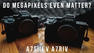 How Many MEGAPIXELS Do YOU Actually NEED! Sony A7Siii v A7Riv Low Light or HIGH Resolution??