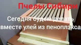 Улей из пенополистирола делаем вместе.