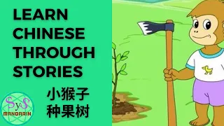 345 Learn Chinese Through Story 小猴子种果树 Little Monkey Plants Fruit Trees