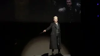 Johnny Depp surprise visit in full Grindelwald costume - Comic Con 2018