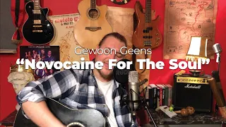 Novocaine For The Soul (Eels) - Gewoon Geens Acoustic Cover