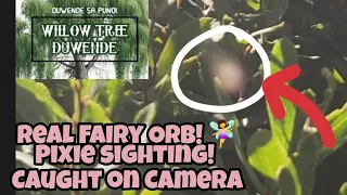 real orb sighting! ghost encounter? fairy? unedited creepy video! multo kaluluwa diwata engkanto