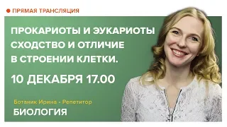 Биология | Открытый онлайн-урок | Прокариоты и эукариоты - сходство и отличие в строении клетки