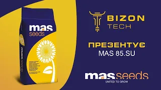 Огляд на гібрид соняшнику МАС 85.СУ (MAS 85.SU) MAS Seeds