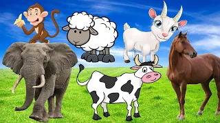 amazing animal - DOG, COW, PIG, CAT, CHICKEN, DUCK, ELEPHANT, RABBIT, HORSE, ROOSTER - ANIMAL SOUND