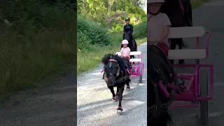 Quality time with my daughter❤️ #shortsvideo #motherdaughter #horses #pony #horse