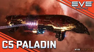 The PALADIN: Everyone's Favourite Marauder! || EVE Online