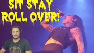 First time hearing, Jinjer - Sit Stay Roll over! (Live) Reaction!