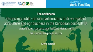 The Caribbean: Harnessing Public-Private Partnerships to drive resilient agriculture and agribusines