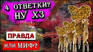 Герои 5 - Правда или миф #4 (3 УДАРА, ВАМПИРИЗМ, БДП и УбОЙНЫЙ КЛИНОК)(Гайд)