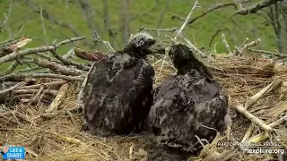 The Battle of the Bones 😂 - Decorah Eagles DNF, Mr North, DN17 & DN18 (4/29)