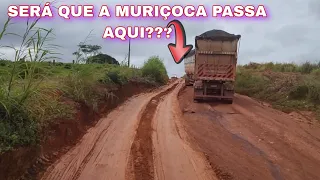 APIACÁS FOi O CARREGAMENTO...037