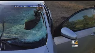 Woman Injured When Turkey Strikes Windshield In Norton