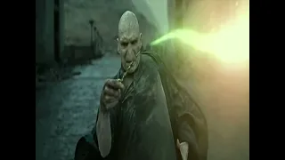 Rare Villain Defeats: Lord Voldemort