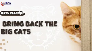 IELTS Reading:- Bring Back the Big Cats (Cambridge 12, Reading 2, Part 2) #maxoverseas #ieltsreading