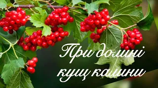 При долині кущ калини. Українські пісні. Українська музика