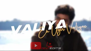 Dhaam Dhoom Valiya en Uyir Valiya song Status Video|DIVI EDITS