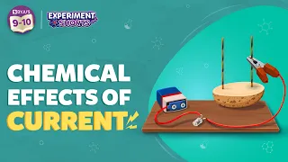 Does Potato Conduct Electricity? |  Chemical Effects of Electric Current on a Potato | #YtShorts