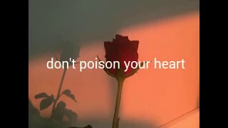 michał szpak - don't poison your heart | tekst / lyrics