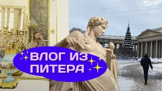 СПОКОЙНЫЙ ВЛОГ ИЗ ПИТЕРА | Первый раз в самолете | Котокафе