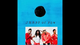 DJ Snake - Taki Taki (Shape Of You Blend)