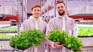 Underground Farm Produces Over 2 Tons of Food Monthly