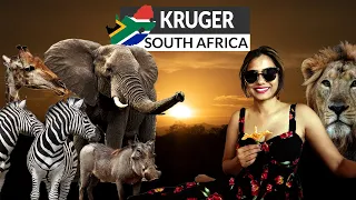 Journey into the Wild: Unforgettable Safari in Kruger National Park! 🌿🦁🌍