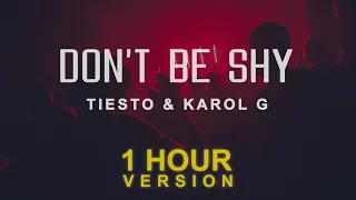 Tiesto & Karol G - Don't Be Shy (1 Hour)