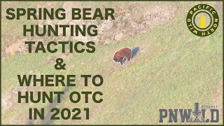 How to Hunt Spring Bear and Where to Hunt OTC in the NW (Podcast)