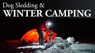 DOG SLEDDING and WINTER CAMPING up NORTH in the SWEDISH MOUNTAINS with Siberian Huskies